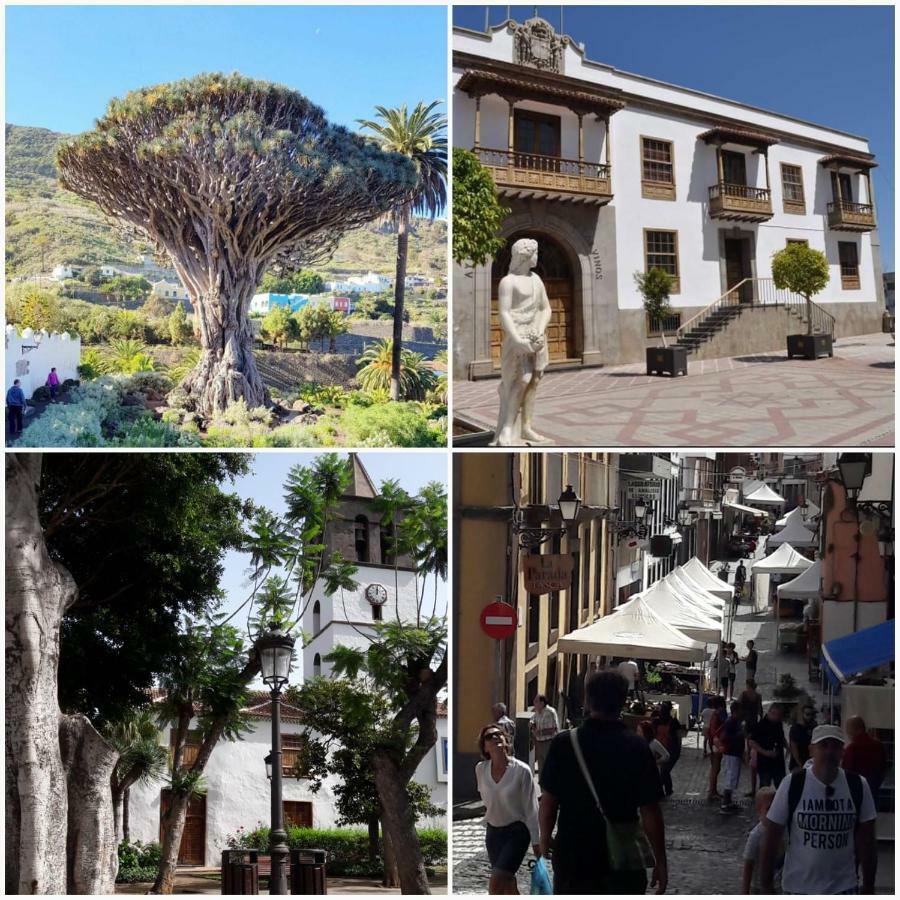 伊科德·德·洛斯·维诺斯Plaza San Marcos公寓 外观 照片